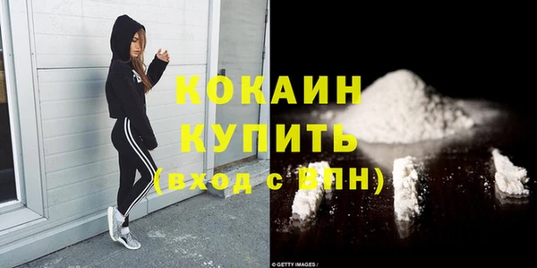 тгк Снежинск