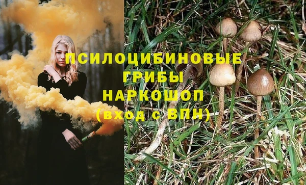 дживик Беломорск