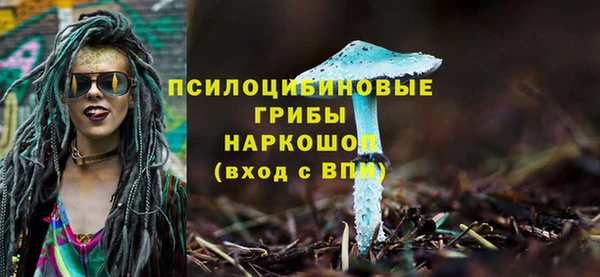 apvp Снежногорск