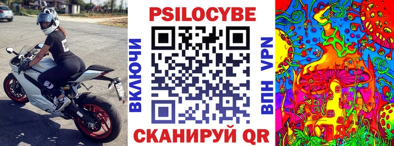 Псилоцибиновые грибы прущие грибы  где продают наркотики  дарк нет состав  Нижняя Тура 